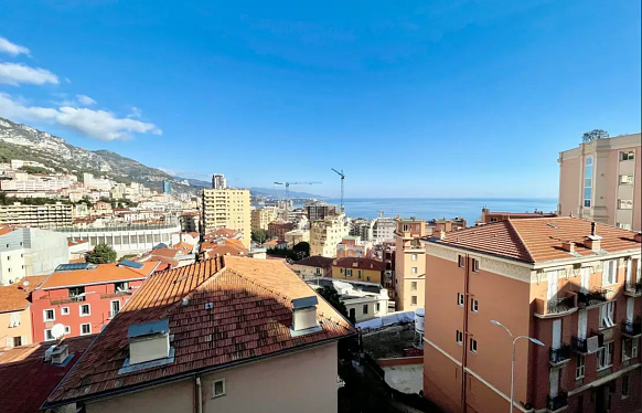 Sea View Apartment in Jardin Exotique district in Monaco