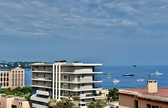 Renovated Apartment in Monaco Near Larvotto Beaches