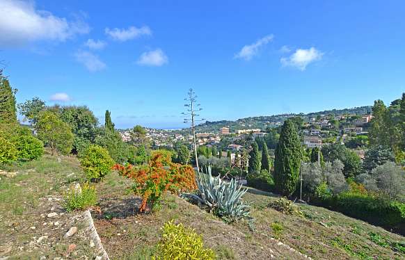 Vente d'un grand terrain à Cannes